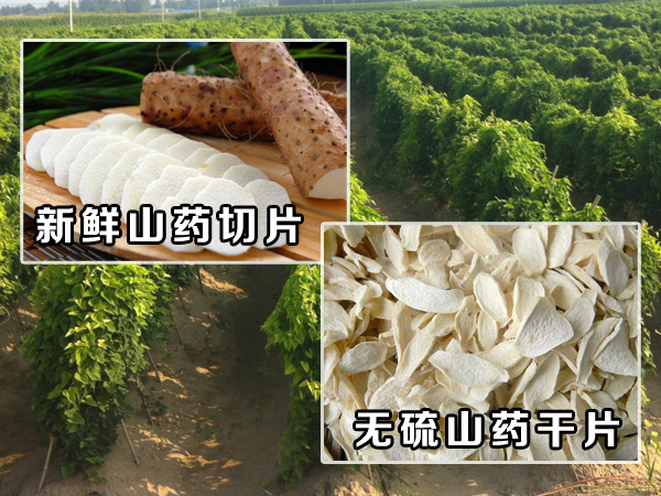 ?????Ч??