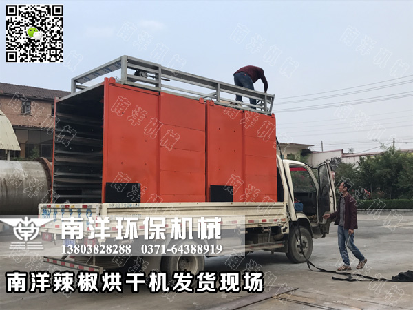 ?????????豸
